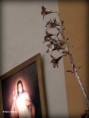 /album/besapies-al-bendito-patron-san-jose/dscn4354-jpg/